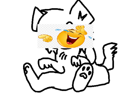 boi