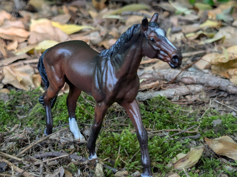 Custom Model Horse: Fiji!
