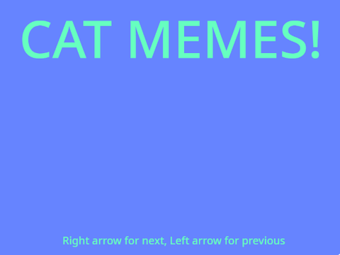 Cat Memes remix