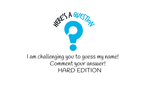 Guess My Name!