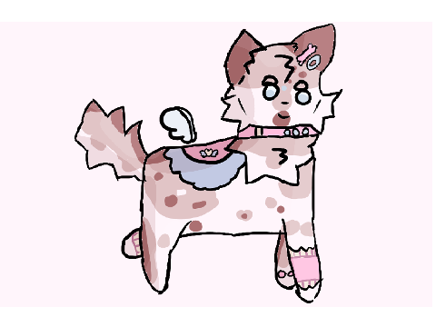 011. Late Birthday Gift