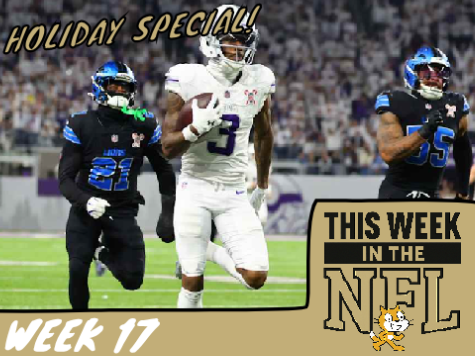 This Week In The NFL: Week 17 (2025)