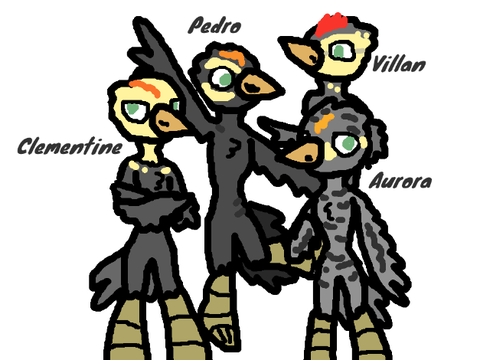 Chickens!