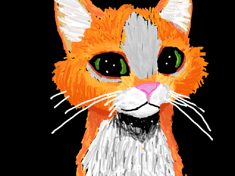 Cat on black background 
