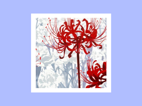 ✶ THE RED MEANS I LOVE YOU (but not really…) ✶