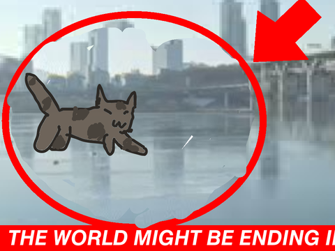 THERES A CAT WALKING ON THE HAN RIVER - ANIMATION MEME TEMPLATE  remix-2