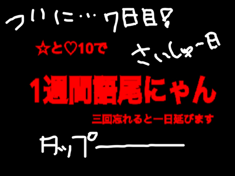 7日目！