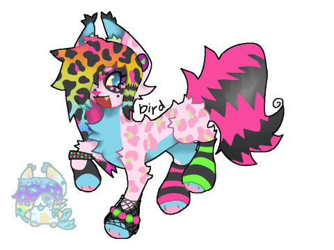 ♥︎ zephyra