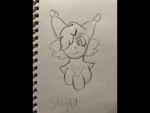 Stagkit App