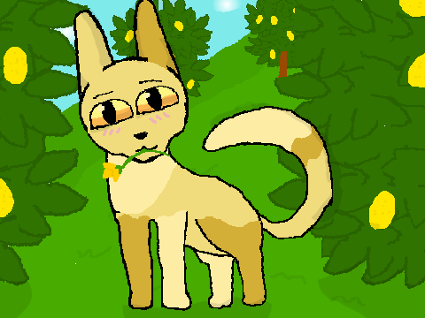 DTIYS Entry!