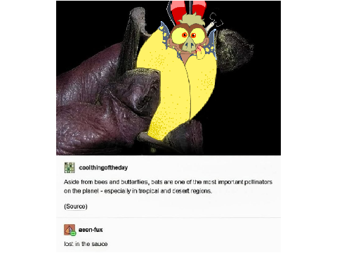 bats