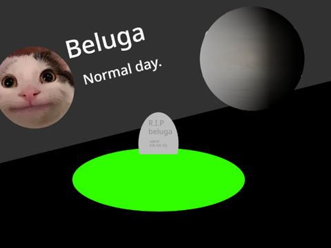 beluga goes to venus!