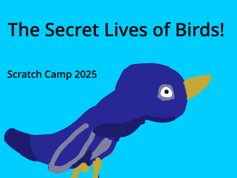 The Secret Lives of Birds - Scratch Camp 2025