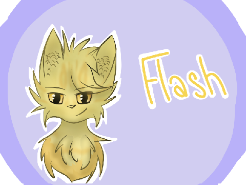 ★RIP Flash★