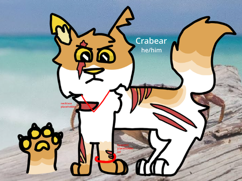 Crabear new ref