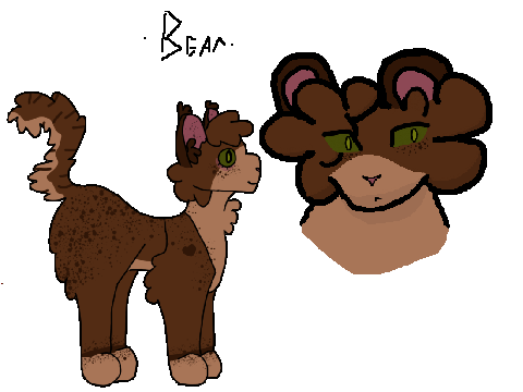 Bearkit? :3