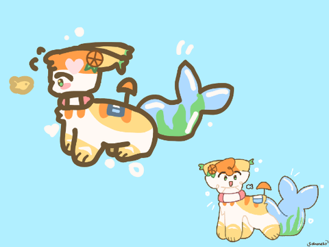 summer DTAE