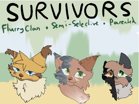『 ❛❛Survivors❜❜ 』 ˖*:･༄ open litter