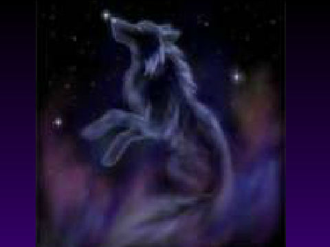 calm wolf the wolf rises