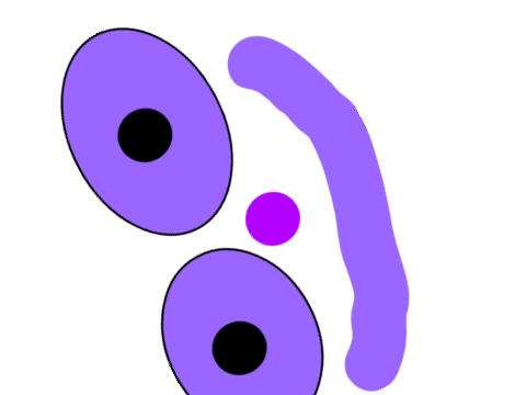 face