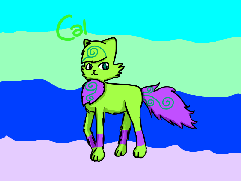 New OC - Cal