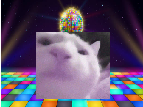 POV:when you cat becomes catzoomi of funk