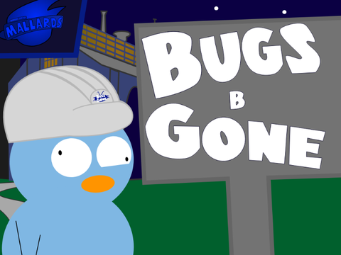 Bugs B' Gone - animation