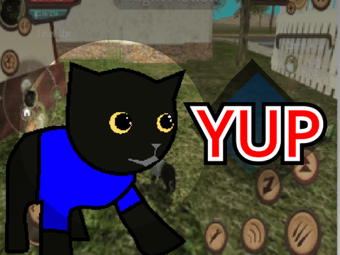 CaT siM mEEtiNg