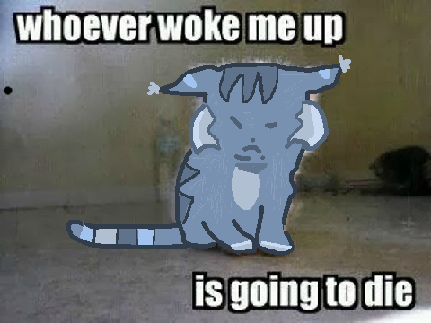 jayfeather meme
