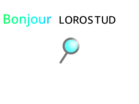 Moteur de recherche fonctionnel
