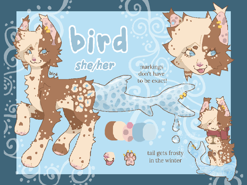 updated bird ref sheet!