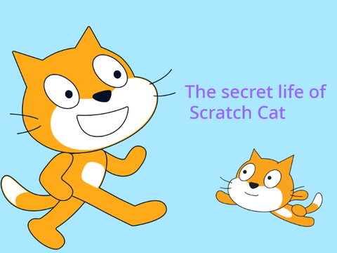 Secret life of scratch cat