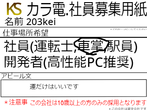 カラ電・社員応募用紙 