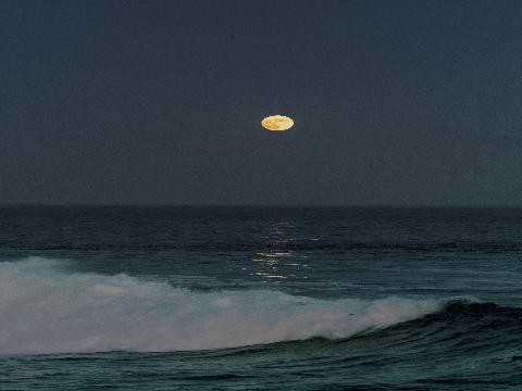 Rises The Moon - Somber Sonnets Litter Naming RP
