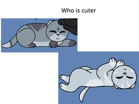 Who’s cuter