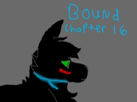 Bound Chapter 16 TNE