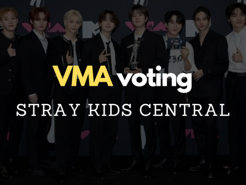 VMA Voting