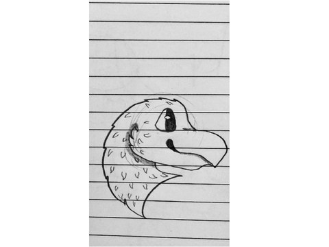 Little doodle 4 u :3