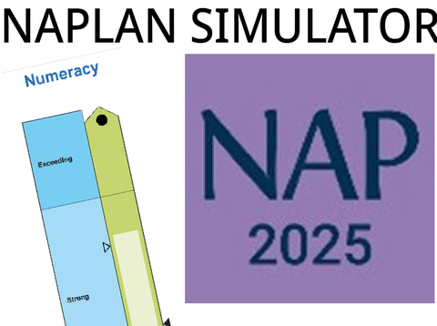 Naplan Simulator