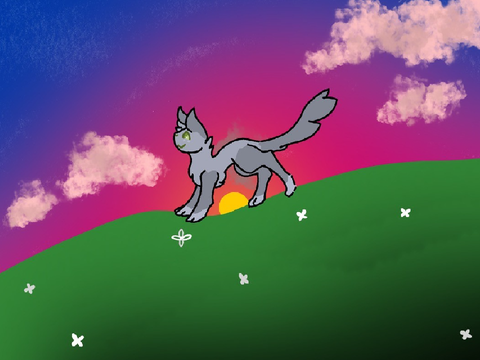 Warrior_Cat_3223 OC Redraw!!