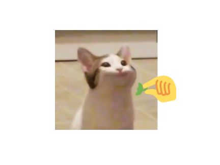 yom yom