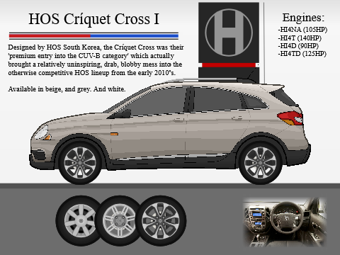 2010 HOS Críquet Cross