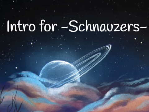 Intro Entry For -Schnauzers-