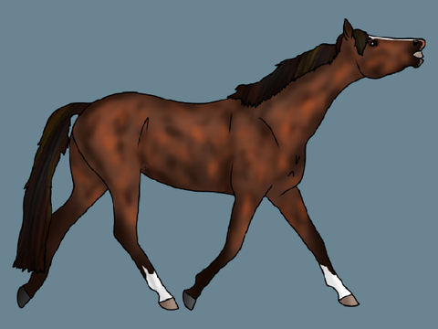 MFS Regal Whisper 'Reggie'