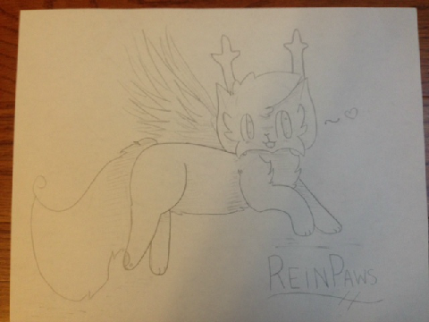 Species Concept?