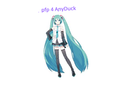 pfp 4 any duck