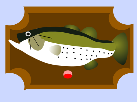 i am a fish