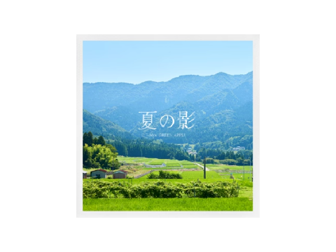 歌詞付き!! 夏の影 / Mrs.GREEN APPLE