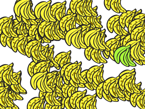 go bananas!