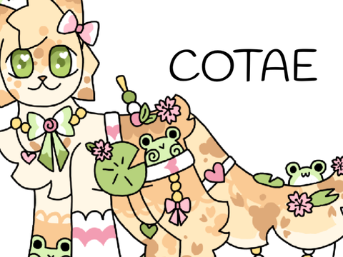 Frog x Wagashi - COTAE